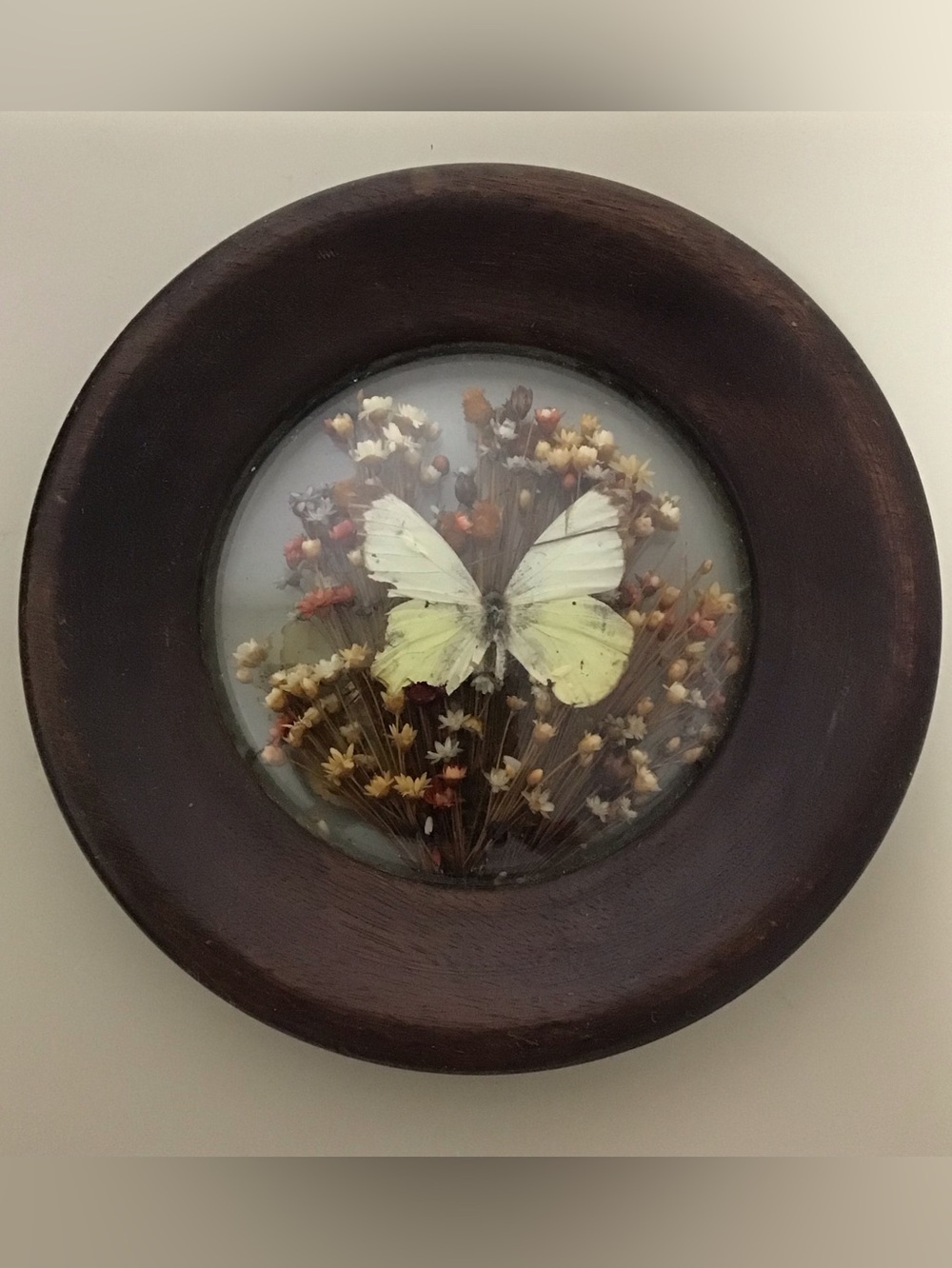Vintage Brazilia Collection by Dunston Framed Butterfly & Wildflowers